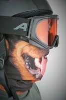 Rundschalmaske mit 3D Druck Hund, gefüttert mit Fleece